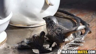 Gay housesitters having fun